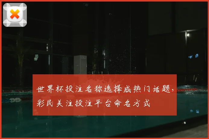 世界杯投注名称选择成热门话题，彩民关注投注平台命名方式