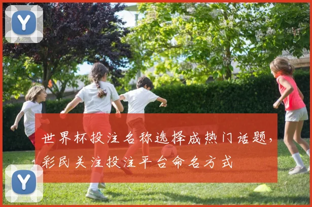 世界杯投注名称选择成热门话题,彩民关注投注平台命名方式