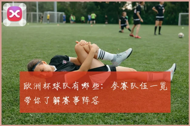 欧洲杯球队有哪些:参赛队伍一览带你了解赛事阵容