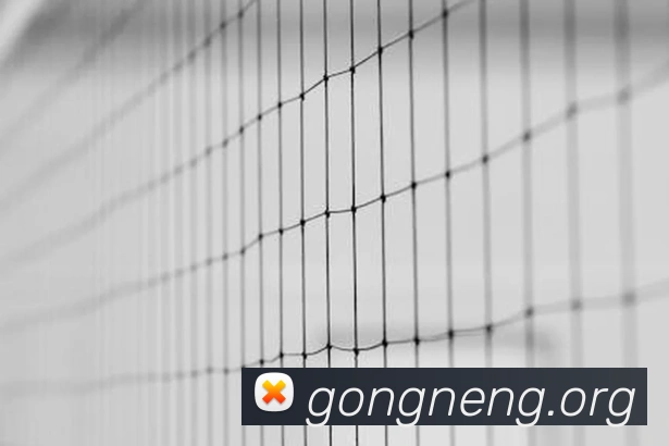 mksports网站平台生态图